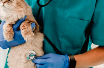 програма для обліку в ветклініці